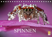 Wunderschöne Spinnen (Tischkalender 2022 DIN A5 quer)