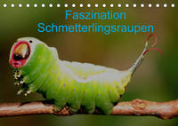 Faszination Schmetterlingsraupen (Tischkalender 2022 DIN A5 quer)