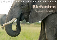 Elefanten - Faszination der Wildnis (Tischkalender 2022 DIN A5 quer)