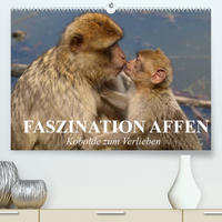 Faszination Affen. Kobolde zum Verlieben (Premium, hochwertiger DIN A2 Wandkalender 2022, Kunstdruck in Hochglanz)