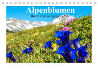 Alpenblumen. Bunte Welt in luftiger Höhe (Tischkalender 2022 DIN A5 quer)