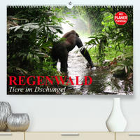 Regenwald. Tiere im Dschungel (Premium, hochwertiger DIN A2 Wandkalender 2022, Kunstdruck in Hochglanz)