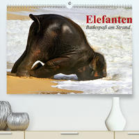 Elefanten. Badespaß am Strand (Premium, hochwertiger DIN A2 Wandkalender 2022, Kunstdruck in Hochglanz)