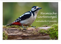 Heimische Gartenvögel Gefiederte Freunde (Wandkalender 2022 DIN A2 quer)