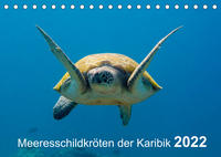 Meeresschildkröten der Karibik (Tischkalender 2022 DIN A5 quer)