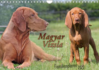 Familienplaner - Magyar Vizsla (Wandkalender 2022 DIN A4 quer)
