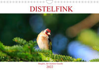 Distelfink (Wandkalender 2022 DIN A4 quer)