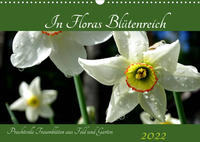 In Floras Blütenreich (Wandkalender 2022 DIN A3 quer)