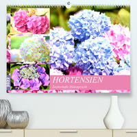 Hortensien. Zauberhafte Blütenpracht (Premium, hochwertiger DIN A2 Wandkalender 2022, Kunstdruck in Hochglanz)