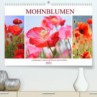 Mohnblumen. Leuchtender Liebreiz auf Wiesen und in Gärten (Premium, hochwertiger DIN A2 Wandkalender 2022, Kunstdruck in Hochglanz)
