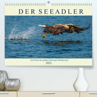DER SEEADLER Ein Portrait des größten Greifvogels Mitteleuropas (Premium, hochwertiger DIN A2 Wandkalender 2022, Kunstdruck in Hochglanz)