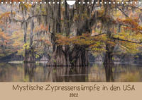 Mystische ZypressensümpfeAT-Version (Wandkalender 2022 DIN A4 quer)
