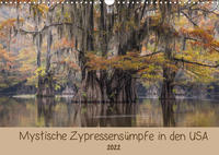 Mystische ZypressensümpfeAT-Version (Wandkalender 2022 DIN A3 quer)