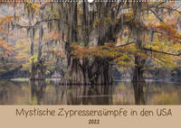 Mystische ZypressensümpfeAT-Version (Wandkalender 2022 DIN A2 quer)