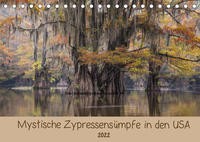 Mystische ZypressensümpfeAT-Version (Tischkalender 2022 DIN A5 quer)