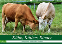 Kühe, Kälber, Rinder (Wandkalender 2022 DIN A3 quer)