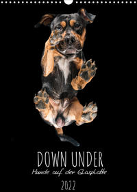 Down Under - Hunde auf der Glasplatte (Wandkalender 2022 DIN A3 hoch)