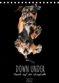 Down Under - Hunde auf der Glasplatte (Tischkalender 2022 DIN A5 hoch)