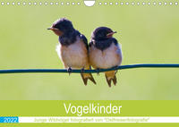Vogelkinder - Junge Wildvögel (Wandkalender 2022 DIN A4 quer)