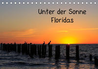 Unter der Sonne Floridas (Tischkalender 2023 DIN A5 quer)