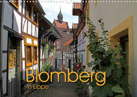 Blomberg in Lippe (Wandkalender 2023 DIN A3 quer)