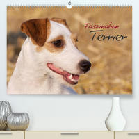 Faszination Terrier (Premium, hochwertiger DIN A2 Wandkalender 2023, Kunstdruck in Hochglanz)