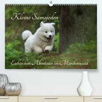 Kleine Samojeden - Eisbärchen Abenteuer im Märchenwald (Premium, hochwertiger DIN A2 Wandkalender 2023, Kunstdruck in Hochglanz)