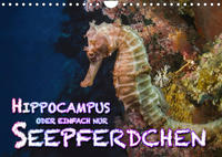 Hippocampus oder einfach nur Seepferdchen (Wandkalender 2023 DIN A4 quer)