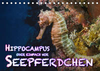 Hippocampus oder einfach nur Seepferdchen (Tischkalender 2023 DIN A5 quer)