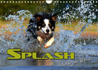 SPLASH - Hunde im Wasser (Wandkalender 2023 DIN A4 quer)