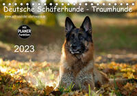 Deutsche Schäferhunde - Traumhunde (Tischkalender 2023 DIN A5 quer)