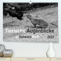 Tierische Augenblicke in Schwarz-Weiß (Premium, hochwertiger DIN A2 Wandkalender 2023, Kunstdruck in Hochglanz)