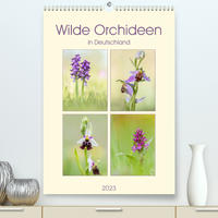 Wilde Orchideen in Deutschland 2023 (Premium, hochwertiger DIN A2 Wandkalender 2023, Kunstdruck in Hochglanz)