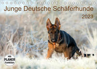 Junge Deutsche Schäferhunde (Tischkalender 2023 DIN A5 quer)