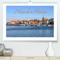Neustadt in Holstein - Charmante Stadt am Meer (Premium, hochwertiger DIN A2 Wandkalender 2023, Kunstdruck in Hochglanz)