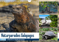 Naturparadies Galapagos - UNESCO Weltkulturerbe (Wandkalender 2023 DIN A4 quer)