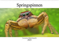Faszination Makrofotografie: Springspinnen (Wandkalender 2023 DIN A2 quer)