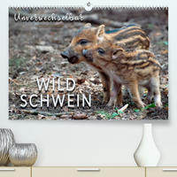 Unverwechselbar - Wildschwein (Premium, hochwertiger DIN A2 Wandkalender 2023, Kunstdruck in Hochglanz)