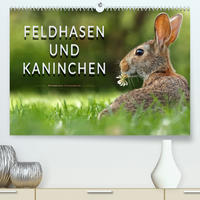 Feldhasen und Kaninchen (Premium, hochwertiger DIN A2 Wandkalender 2023, Kunstdruck in Hochglanz)