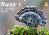 Pilzgalerie - Die bunte Welt der Baumpilze (Wandkalender 2023 DIN A2 quer)