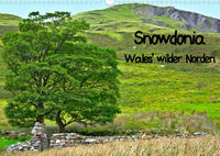 Snowdonia - Wales' wilder Norden (Wandkalender 2023 DIN A3 quer)
