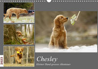 Chesley Kleiner Hund Grosses AbenteuerCH-Version (Wandkalender 2023 DIN A3 quer)