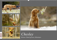 Chesley Kleiner Hund Grosses AbenteuerCH-Version (Wandkalender 2023 DIN A2 quer)