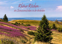 Rhöner Röschen - ein Sommermärchen in der Hochrhön (Wandkalender 2023 DIN A2 quer)
