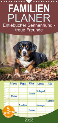 Familienplaner Entlebucher Sennenhund - treue Freunde (Wandkalender 2023 , 21 cm x 45 cm, hoch)