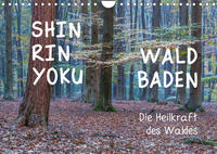 Shinrin yoku - Waldbaden 2023 (Wandkalender 2023 DIN A4 quer)