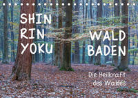 Shinrin yoku - Waldbaden 2023 (Tischkalender 2023 DIN A5 quer)