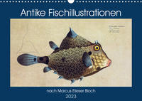 Antike Fischillustrationen nach Marcus Elieser Bloch (Wandkalender 2023 DIN A3 quer)