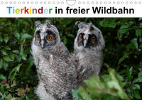 Tierkinder in freier Wildbahn (Wandkalender 2023 DIN A4 quer)