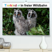 Tierkinder in freier Wildbahn (Premium, hochwertiger DIN A2 Wandkalender 2023, Kunstdruck in Hochglanz)